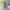 https://res.cloudinary.com/billionhands/image/upload/v1776096206/items/si9pdk1nphxmku0mlq44.avif-2cover