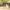 https://res.cloudinary.com/billionhands/image/upload/v1776100726/items/o3blvpwta9a5n3nda793.jpg-3cover