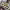 https://res.cloudinary.com/billionhands/image/upload/v1776100874/items/y04iheawqtcjdxa5yusg.webp-2cover