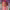 https://res.cloudinary.com/billionhands/image/upload/v1776105461/items/rmrb4c4ckgzk0iad4glm.webp-2cover