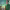 https://res.cloudinary.com/billionhands/image/upload/v1776105461/items/rzfhsud0nkjmlpjnzaih.jpg-3cover