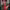 https://res.cloudinary.com/billionhands/image/upload/v1776105541/items/aoerbklsxhefxig1eix7.jpg-3cover