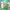 https://res.cloudinary.com/billionhands/image/upload/v1776108036/items/ifnqoorwf5umsy6q7u8s.jpg-0cover
