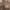 https://res.cloudinary.com/billionhands/image/upload/v1776109664/items/vq4rufwu0wwtstu0htn4.webp-2cover