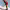 https://res.cloudinary.com/billionhands/image/upload/v1776111316/items/rlde3qkb53murcpfhkln.jpg-0cover