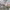 https://res.cloudinary.com/billionhands/image/upload/v1776111318/items/ibtbmurvpr7k7lqzvbpn.jpg-2cover