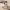 https://res.cloudinary.com/billionhands/image/upload/v1776111329/items/rnlk6aeu86nh0prlmw53.jpg-2cover