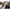 https://res.cloudinary.com/billionhands/image/upload/v1776111331/items/rn1qu2thiferdo6lcqbc.webp-2cover