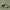 https://res.cloudinary.com/billionhands/image/upload/v1776111334/items/k9raxnoioxohrrhwu9xh.webp-0cover