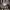 https://res.cloudinary.com/billionhands/image/upload/v1776111347/items/xaufig8yt45bltutufc1.jpg-1cover