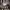 https://res.cloudinary.com/billionhands/image/upload/v1776111349/items/raqrr8ghnwki6ojemgol.jpg-2cover