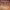 https://res.cloudinary.com/billionhands/image/upload/v1776111351/items/f1o2lg9c1a6kqjfvqs85.jpg-3cover