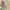 https://res.cloudinary.com/billionhands/image/upload/v1776111579/items/k5v3am5ciat1n9kzjyli.jpg-1cover