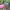 https://res.cloudinary.com/billionhands/image/upload/v1776111916/items/ruioadq1lkjyvj7tlovp.jpg-3cover