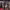 https://res.cloudinary.com/billionhands/image/upload/v1776111952/items/uatyaonoub0guxhg8iqt.jpg-0cover