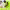 https://res.cloudinary.com/billionhands/image/upload/v1776111953/items/pqpupygtlp4huog3u1dj.jpg-1cover