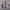 https://res.cloudinary.com/billionhands/image/upload/v1776112187/items/g7qtdpib6ilncgf5zj7n.jpg-2cover
