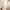 Sea Salt (Benjamin Moore Color Trends 2025) cover