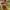 https://res.cloudinary.com/billionhands/image/upload/v1776112877/items/cmisoyhc2jpggelvonkq.avif-2cover