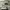 https://res.cloudinary.com/billionhands/image/upload/v1776115026/items/c8jdxp0ue1anhczlbakb.jpg-2cover