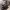 https://res.cloudinary.com/billionhands/image/upload/v1776115197/items/jp5z7zu1ggu7beiusrnn.jpg-1cover