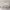 https://res.cloudinary.com/billionhands/image/upload/v1776115211/items/p7rzo8yamddwbdlpso8i.webp-2cover