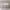 https://res.cloudinary.com/billionhands/image/upload/v1776115213/items/he059zgfznzh6tn2lon6.webp-0cover