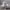 https://res.cloudinary.com/billionhands/image/upload/v1776115214/items/v1hhqcuxnq7ee31mt4e1.webp-3cover