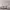 https://res.cloudinary.com/billionhands/image/upload/v1776115215/items/jhr4ps3qyuyw0vsxwnjg.webp-2cover