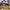 https://res.cloudinary.com/billionhands/image/upload/v1776115345/items/zmpf9aloy4umlsuvgrof.jpg-2cover