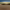 https://res.cloudinary.com/billionhands/image/upload/v1776115351/items/ume4jokuhxq576kp5cin.jpg-1cover
