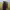 https://res.cloudinary.com/billionhands/image/upload/v1776115412/items/qhavgxcbo6zuipkckz9h.webp-3cover
