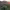 https://res.cloudinary.com/billionhands/image/upload/v1776116373/items/jxza9f3jy0dp2df6x0il.jpg-2cover