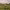 https://res.cloudinary.com/billionhands/image/upload/v1776116374/items/sfxrml5cmy0qglepxigh.jpg-1cover