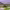 Desert Highlands Golf Club (Scottsdale, Arizona) cover