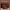 https://res.cloudinary.com/billionhands/image/upload/v1776119009/items/hkhjbrz78sivuprlq0ff.avif-3cover