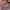 https://res.cloudinary.com/billionhands/image/upload/v1776119538/items/resq12wjt1etbphpsicf.webp-0cover
