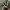 https://res.cloudinary.com/billionhands/image/upload/v1776120262/items/lfffki4ddhlntaiofyvs.webp-1cover