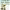 A Random Walk Down Wall Street (2023) cover