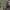https://res.cloudinary.com/billionhands/image/upload/v1776141424/items/dmrxunfukb6msstox8wn.jpg-2cover