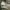 https://res.cloudinary.com/billionhands/image/upload/v1776143845/items/nwm3dytks7b13ohrgrjw.jpg-2cover