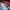 https://res.cloudinary.com/billionhands/image/upload/v1776143846/items/cbngyrfvatd4slpkhype.jpg-0cover