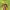 https://res.cloudinary.com/billionhands/image/upload/v1776148989/items/ptmsfn7wna0lhbupmjmn.jpg-2cover