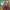 https://res.cloudinary.com/billionhands/image/upload/v1776148990/items/xkvjar8y4htvskd52f0r.jpg-3cover