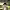 https://res.cloudinary.com/billionhands/image/upload/v1776148995/items/pwghonyjms3tuanzjaw4.jpg-2cover