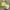 https://res.cloudinary.com/billionhands/image/upload/v1776156273/items/wspshiscu5i5ndvp5sg2.jpg-3cover