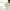 https://res.cloudinary.com/billionhands/image/upload/v1776157052/items/yy1lzd8hyk2pfmc3owq5.jpg-0cover