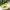 https://res.cloudinary.com/billionhands/image/upload/v1776165444/items/bfgkgoxdqc6es2vf0e1a.jpg-0cover