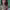 https://res.cloudinary.com/billionhands/image/upload/v1776166860/items/fqt2ppfe0hyqetrndsd2.avif-3cover