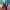 https://res.cloudinary.com/billionhands/image/upload/v1776176457/items/mxn82pxbsckujzpohtqo.jpg-2cover
